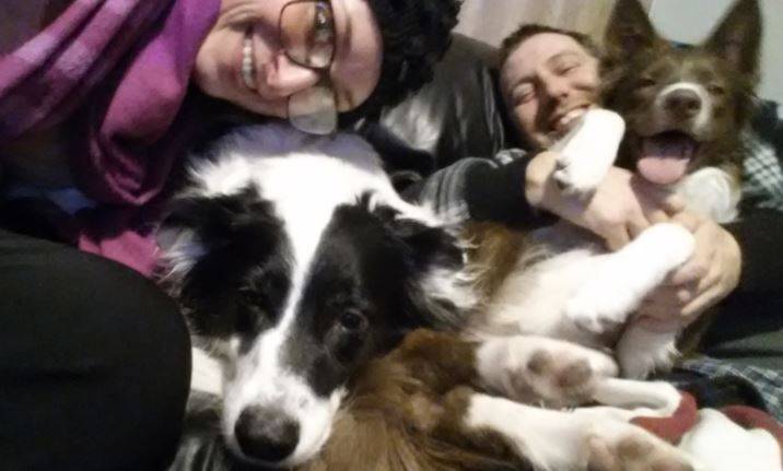 Paisley - post adoption photo - chocolate border collie rehomed in ontario
