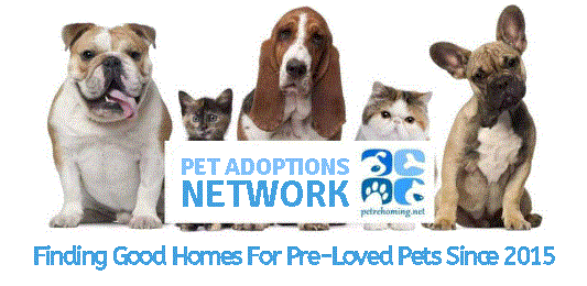 Pet Adoptions Network Logo