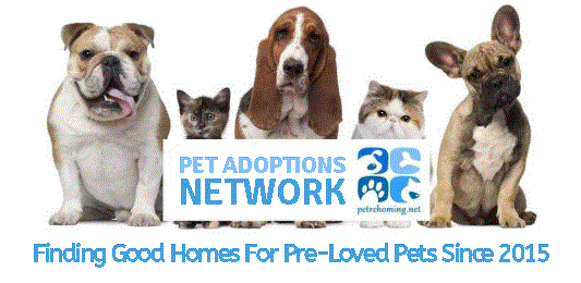 Logo header photo for pet rehoming network