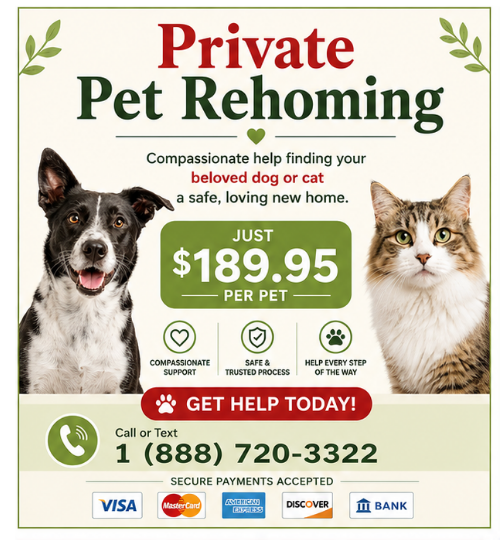 private pet rehoming