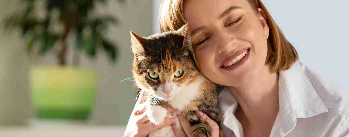 miami pet rehoming services banner