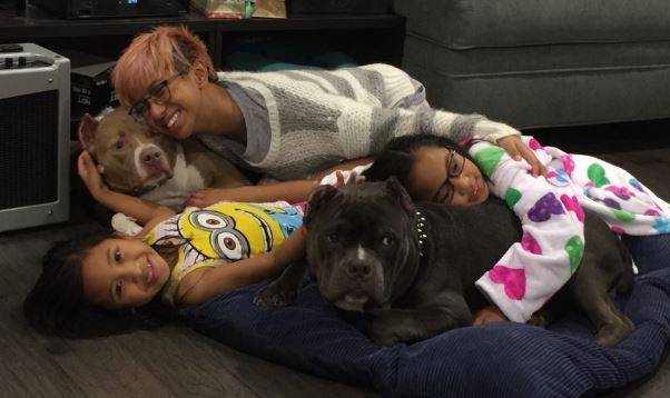 Photo Pitbull brothers for adoption to loving home in baltimore md 13