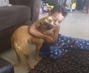 Lucy – adorable puggle mix puppy seeks loving home – good with kids, cats – all supplies included