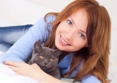 San Diego Cat Rehoming Network - Rehome a Cat or Kitten in ...