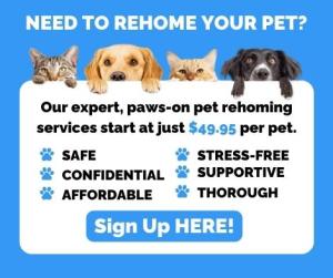 Ready to rehome your pet?