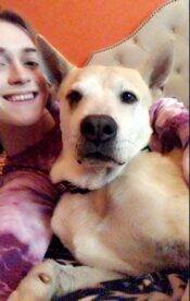 Reggie - Senior German Shepherd Chow Chow Mix For Adoption In Phoenix AZ 4