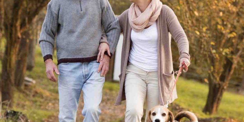 How Pets Benefit Our Health