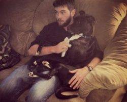 Shooter - lab mix for adoption in broomfield co 2