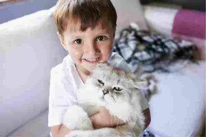 Young boy cuddles a silver persian cat