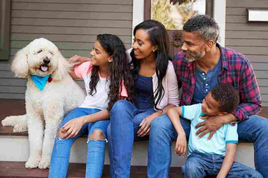 african american family and their white standard poodle