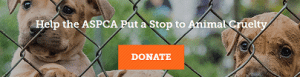 Click to donate to the aspca