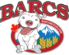 Logo for barcs rescue in calgary