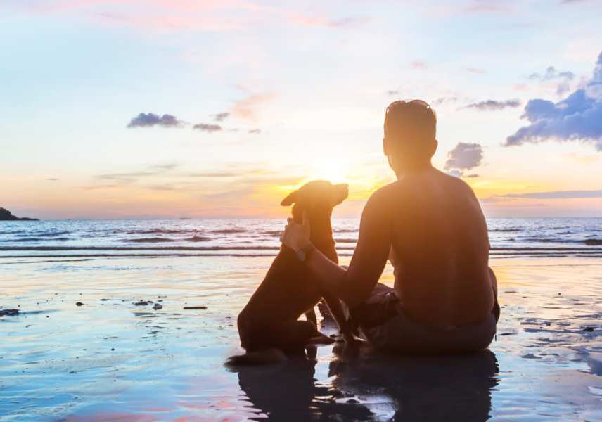 Dog and owner on beach in los angeles - private dog adoptions