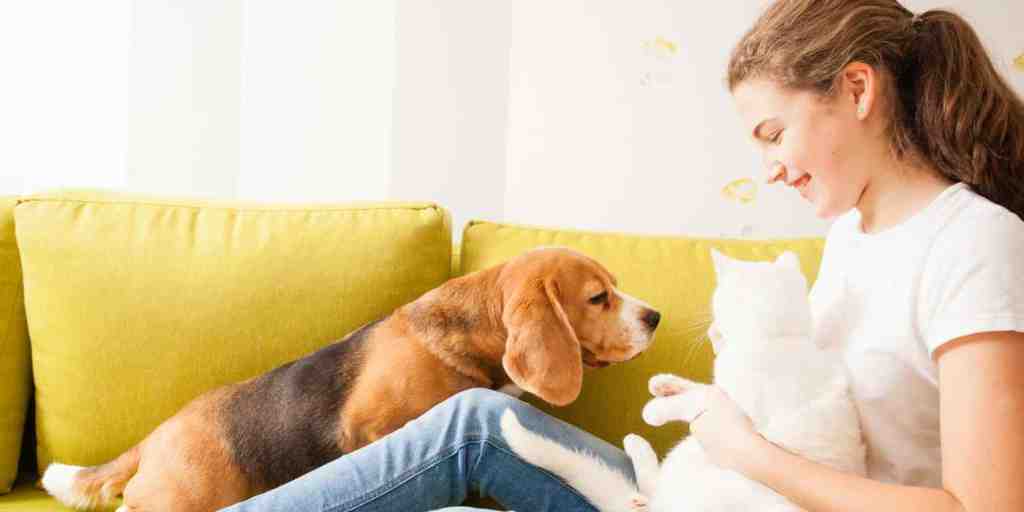 Woman on yellow sofa with a dog and cat