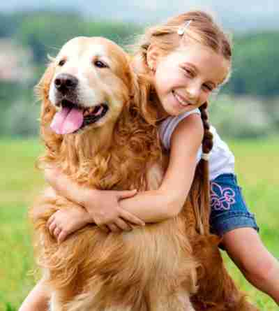 Cute girl hugs a Golden Retriever