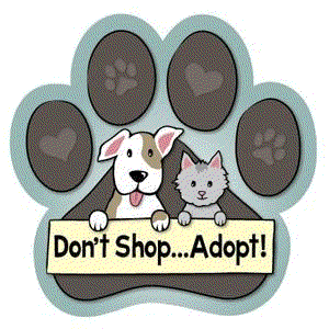 dont-shop-adopt