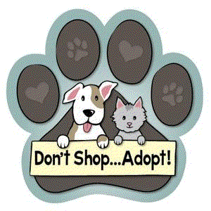 Dont-shop-adopt