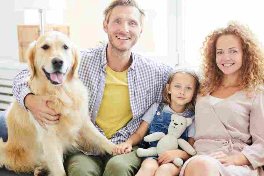 Dog adopted by family