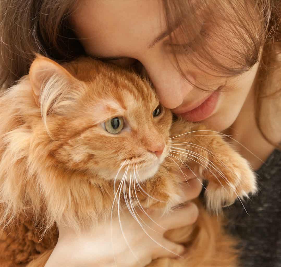 Woman snuggles her orange tabby cat