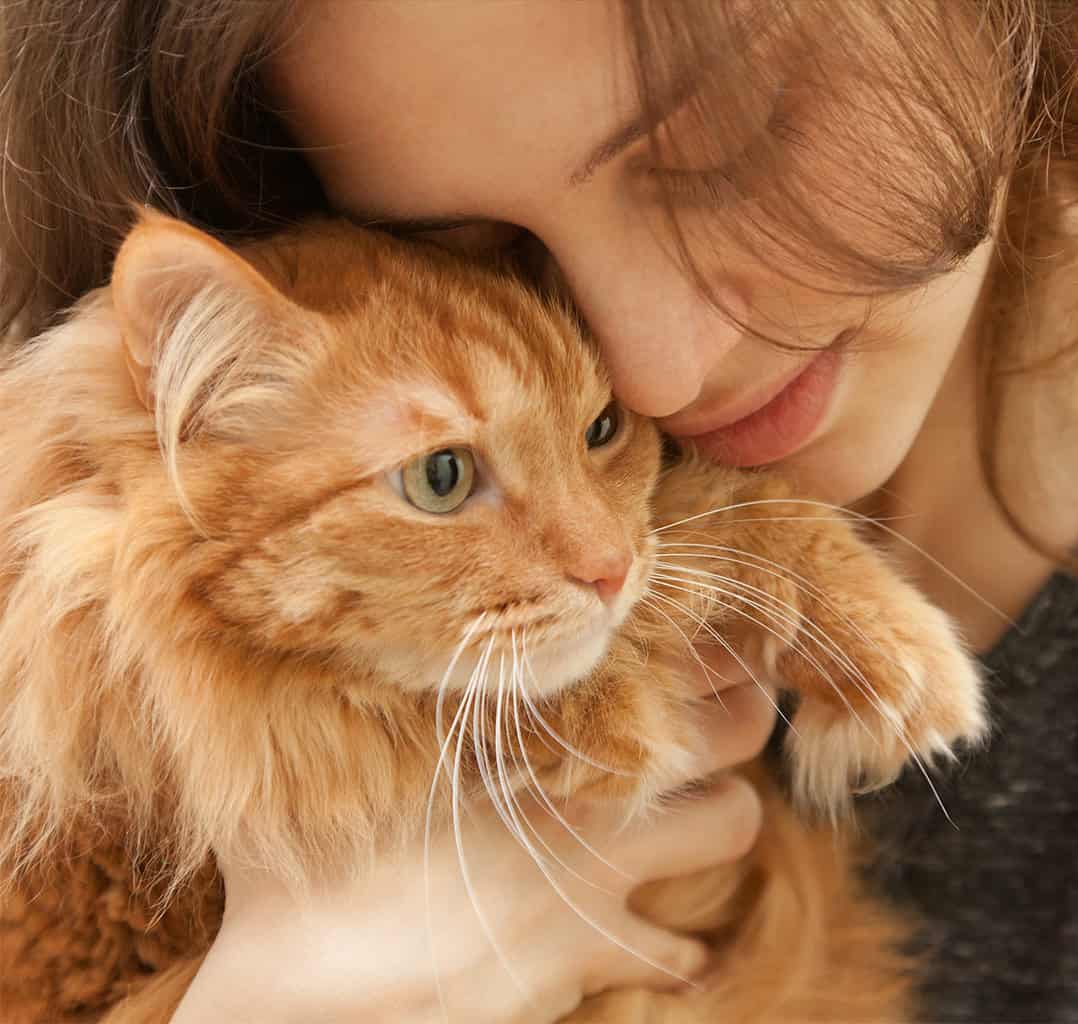 Woman snuggles her orange Tabby cat