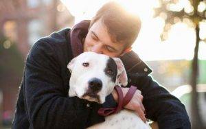 Wichita Pet Rehoming Photo Rehoming dogs