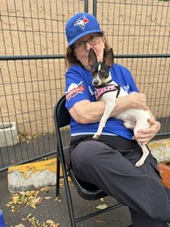 Adorable Rat Terrier For Adoption Near Fort Lauderdale Florida  – Meet Val