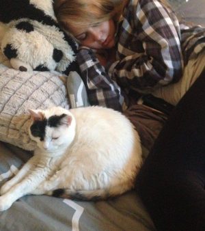 Adorable Annie – Declawed Cuddle Bug Cat Seeks Family To Cherish In Dallas Area – Supplies Included