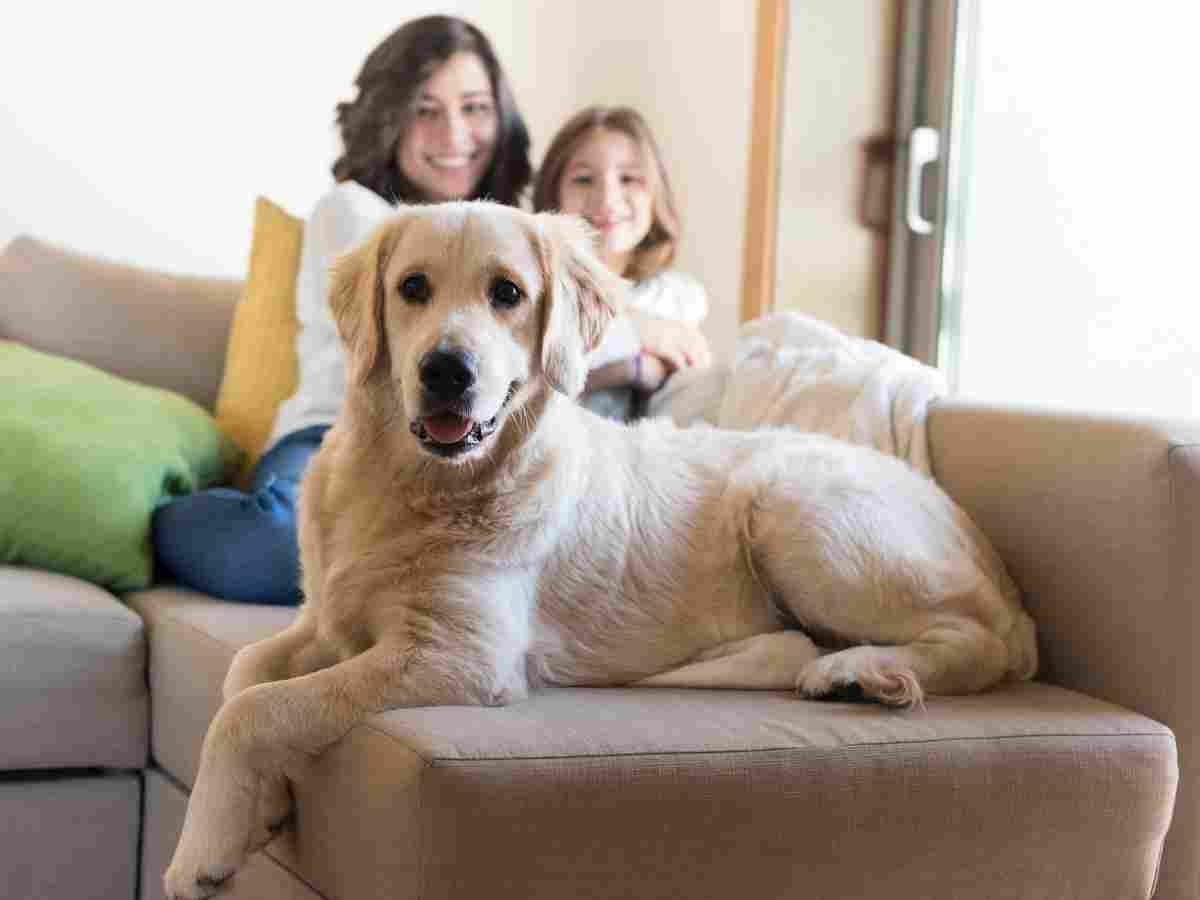 Mom, child and golden retriever sitting on sofa