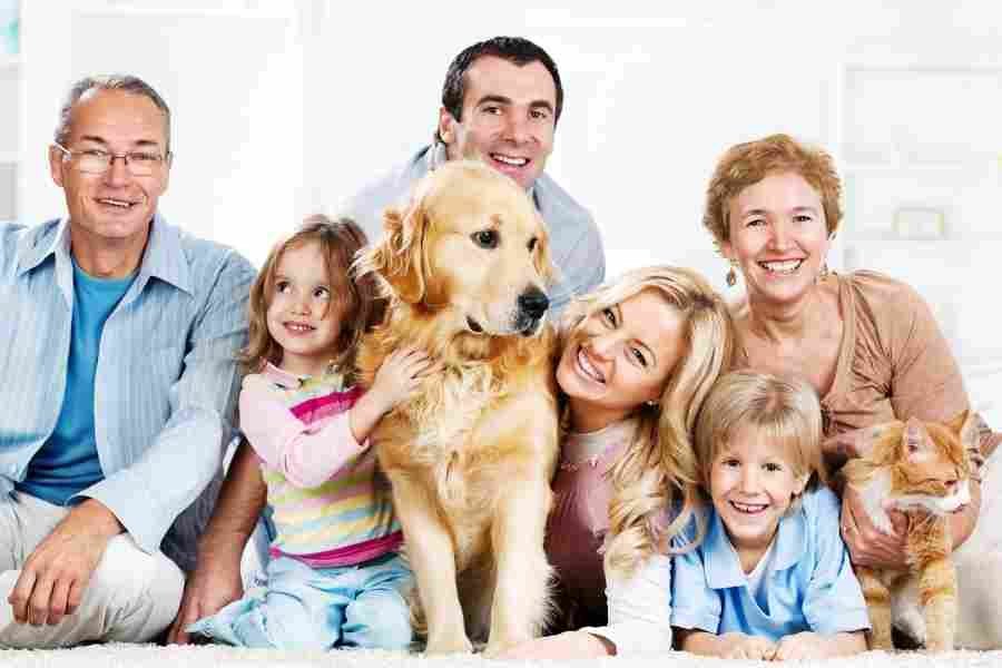 large family with a golden retriever and a small dog