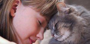 Chula Vista Pet Adoption - Adopt a Dog or Cat in Chula Vista