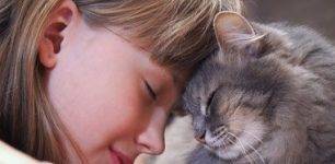 Oxnard pet adoption - adopt a pet dog cat in oxnard