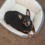 MinPin Rehoming