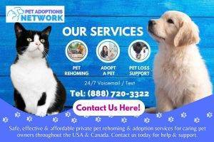 Our Services Banner - Pet Rehoming Network - Pet Rehoming, Adopt a Pet, Pet Loss Support
