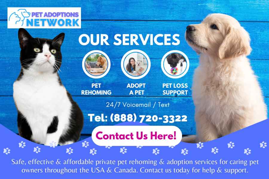 Our Services Banner - Pet Rehoming Network - Pet Rehoming, Adopt a Pet, Pet Loss Support