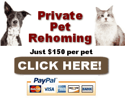 private pet rehoming services in New York click here