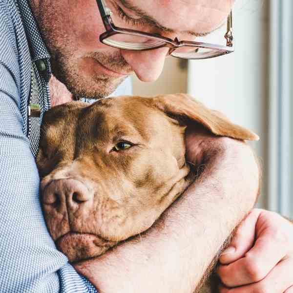 Sad dog owner feels guilty 2 about rehoming his pet