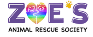 Edmonton cat rescues
